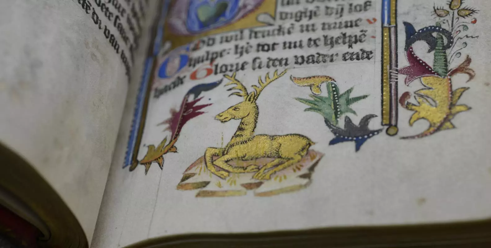 An open parchment manuscript, showing decorative margin with image of a stag.